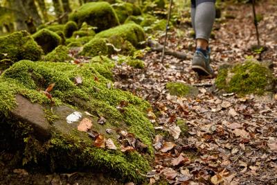 Hiker among the leaf litter